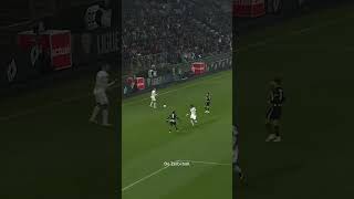 Le 𝐃𝐞 𝐙𝐞𝐫𝐛𝐢 𝐁𝐚𝐥𝐥 🧠