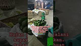 #medan #sumut #pasarinduk #pejuangmalam #pejuangrupiah #melon #motivation #shortsfeed #fypシ #fyp