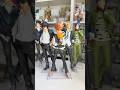 KATEKYO HITMAN REBORN SET OF FIGURES #katekyohitmanreborn