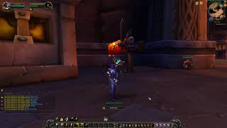 WOW Animations - Allied Races - Void Elf Holy Priest (female)