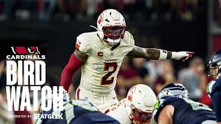 Cardinals Birdwatch: Inside the