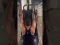 Day1 muscle gain #viralshorts #trendingshorts #trendingsong #gymmotivation #gymworkout #gymlovers 🔱