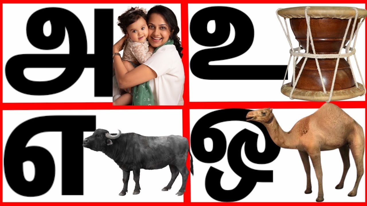 Uyir Ezhuthukal | அரிசுவடி Learn Tamil Alphabets/  உயிர் எழுத்துக்கள்/ueir ezuthukkal|@prini
