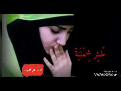 ليش الزمن يا حيف طشر شملنا