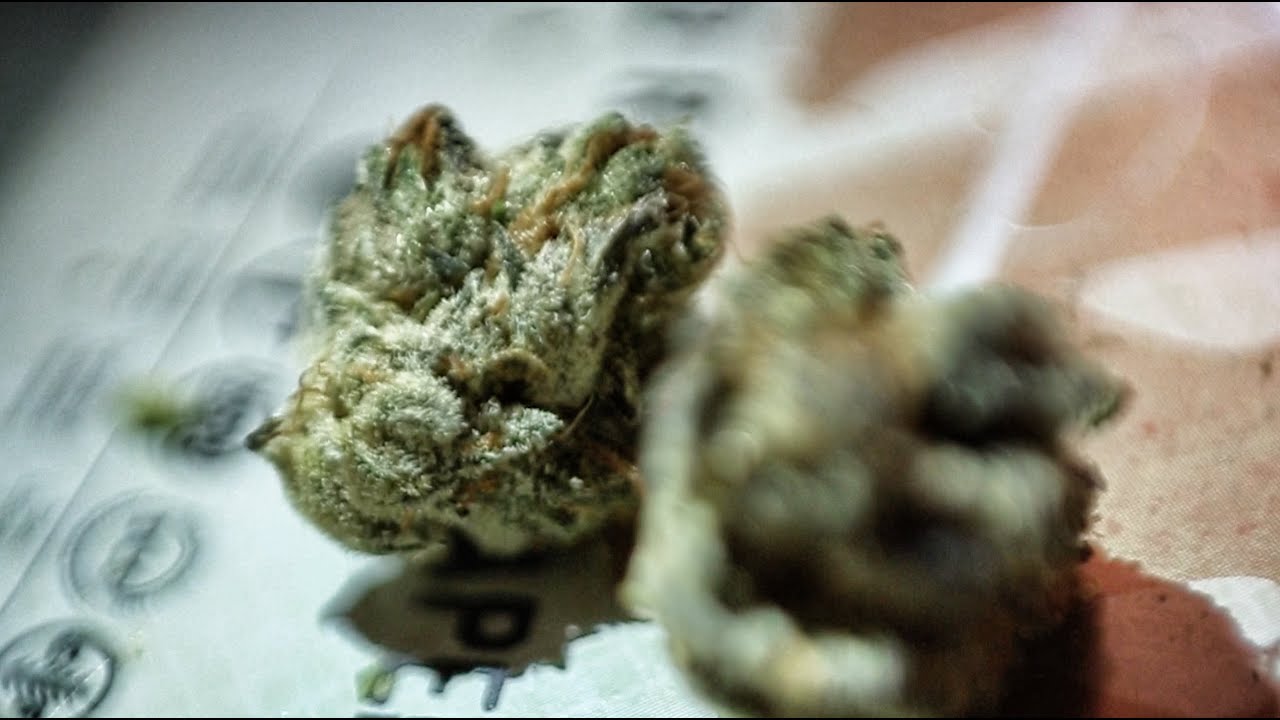 MASTER KUSH & SOUR DIESEL