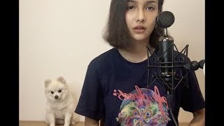 ค.ควาย - BOWKYLION | BOWKYLION (Acoustic) chords