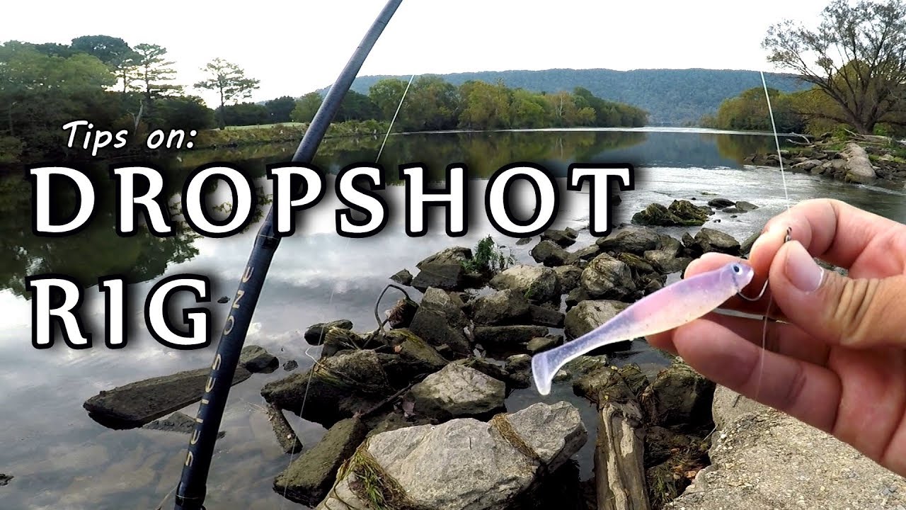 DROPSHOT RIG for Bass Fishing **TIPS** YouTube