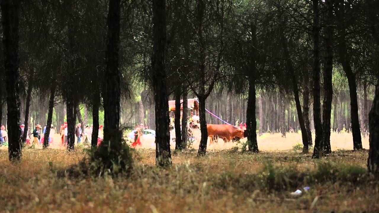 José Manuel Soto - Una candela en la noche