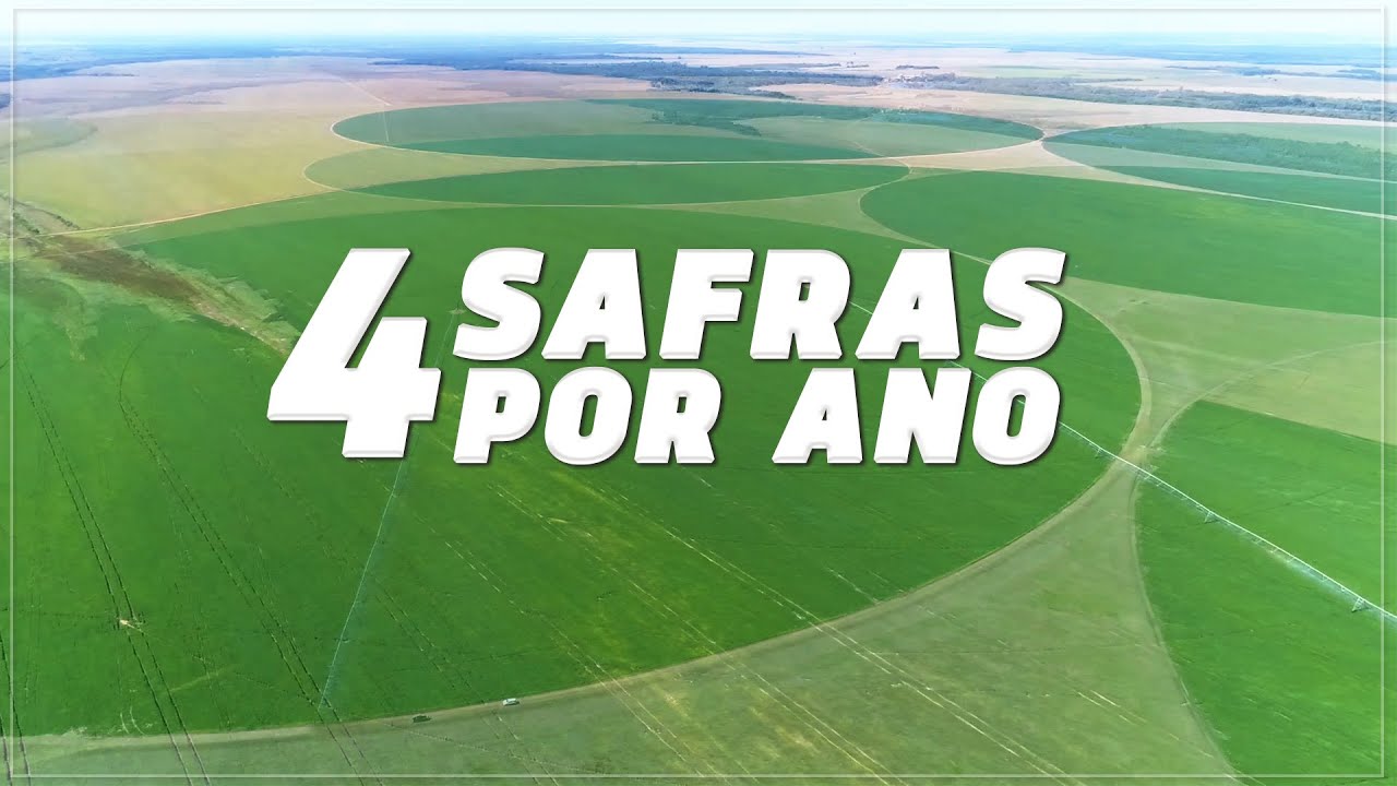 PRODUÇÃO DE GRÃOS EM PIVÔS. SAFRA 2019/2020
