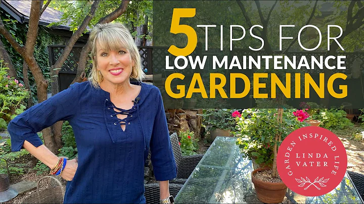 5 TIPS for LOW MAINTENANCE GARDENING