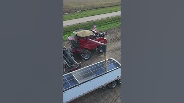 Soybean Harvest 2025