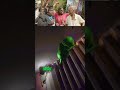My Friend Got Stuck In The Steps In Museum Map 🤣🤣🤣| R.E.P.O