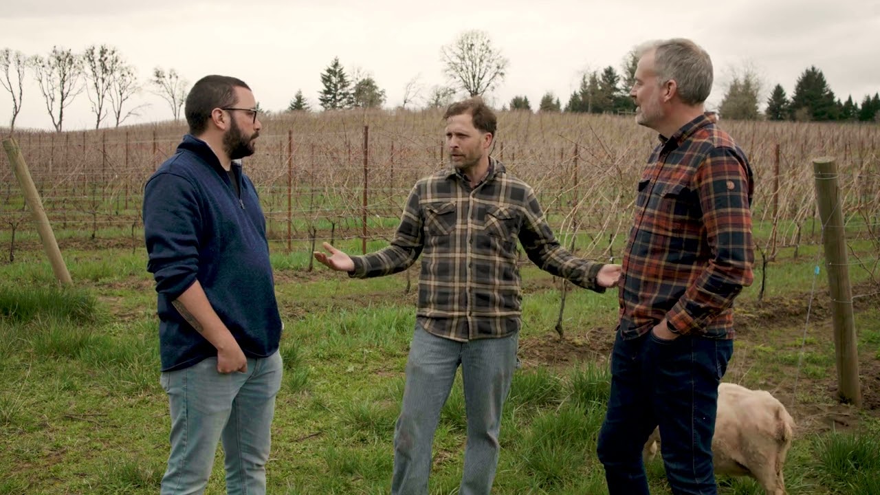 Alexana Winery - Animals in the Vineyard