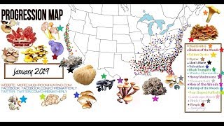 2018 Mushroom Reports and Finds map compilations (39 total)