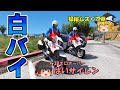 【交機】白バイで交通取締り！白バイ隊連携でカーチェイス！