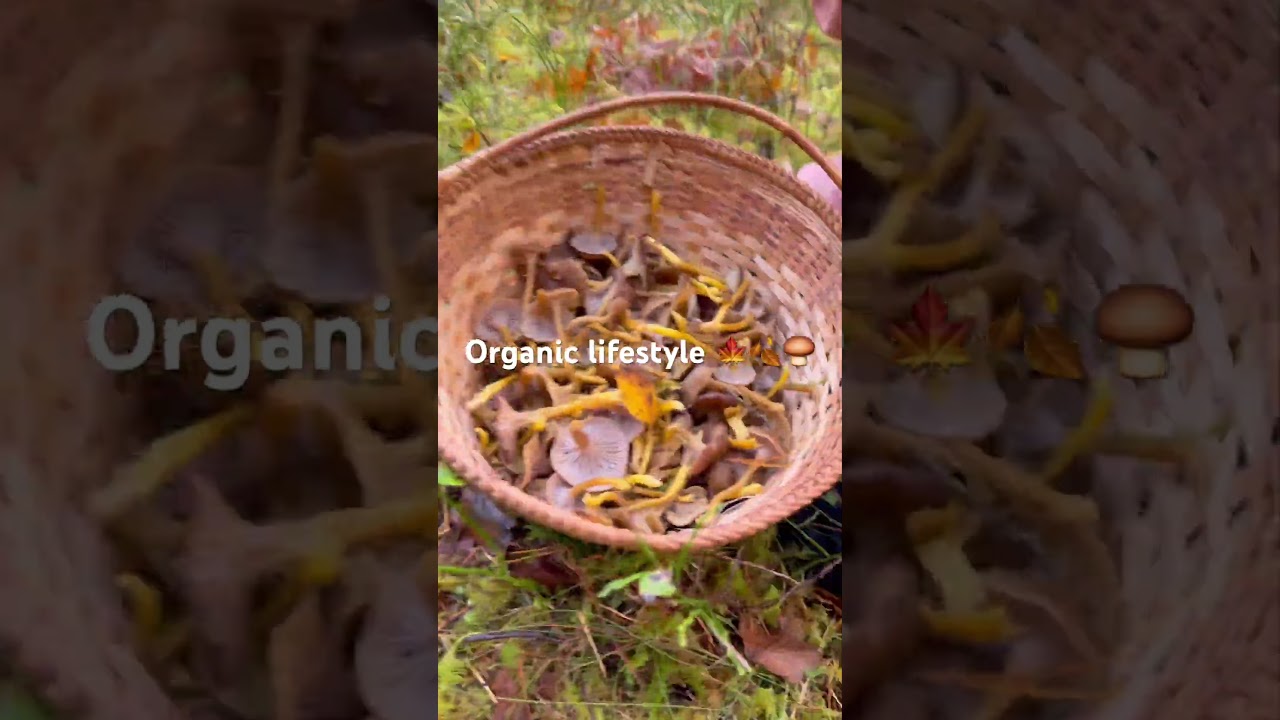 #путешествия