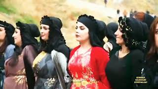Koma Rekani Imat Rekani ~Sofi Ömer (Yeni Tireş Reş 2020)