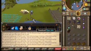 Loot From 671 Mith Drags + 28 chewed bones loot
