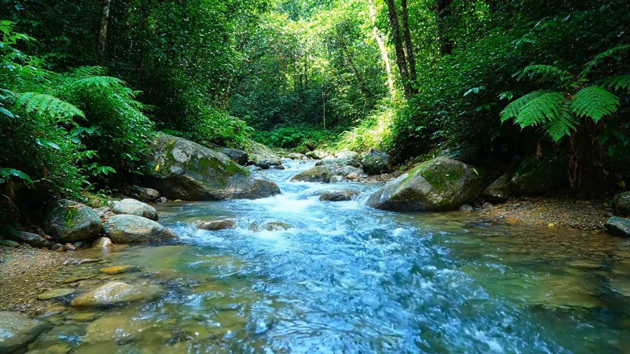 Deep Meditation – Beautiful Enchanted Water River Sound in Enchanted Forest – Focus