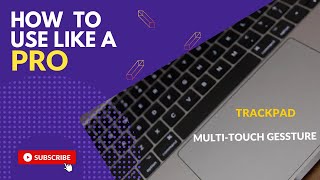 [Win11] multi-touch Gesture TRACKPAD guide