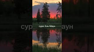 сура Аль-Маун,слушай до конца😌🌾