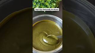 Hair Dye Naturally at homehairdyeindigomehndi greyhairblackhairnaturally beautyviralshorts