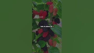 The Unanswered Questions of Science🔬❓🧠 #science #islamicinspiration #scienenews  #islamicmotivation