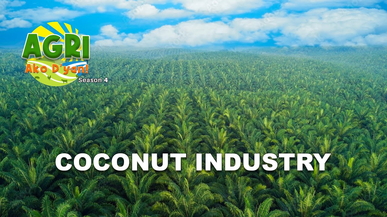 Coconut Industry YouTube