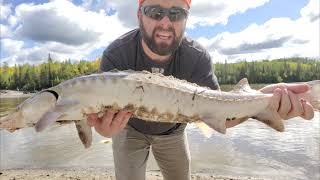 Caught a sturgeon! (Catch & Release) - Cochrane Ontario District - September 18th, 2021