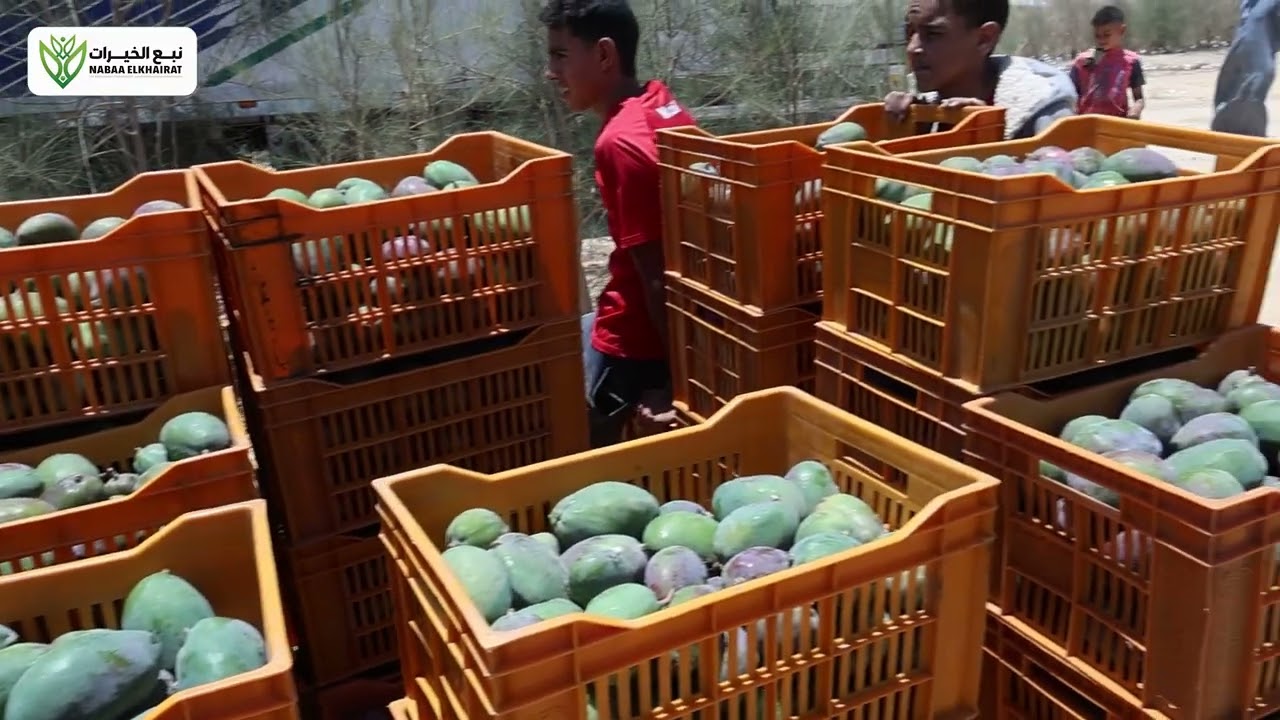 دراسة جدوى📊 قوية وخبرة تنفيذ حقيقية = مشروع استثماري مضمون💯