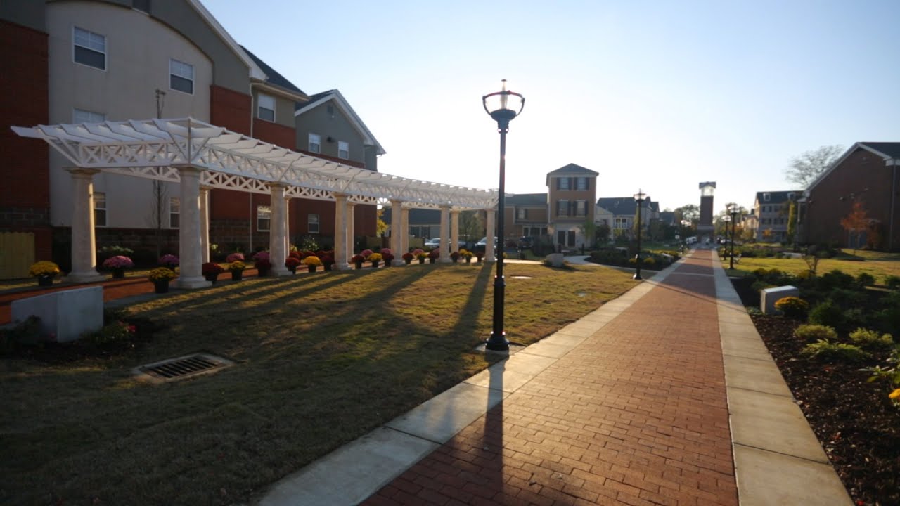 Glowing Gold | HU First Ladies' Garden