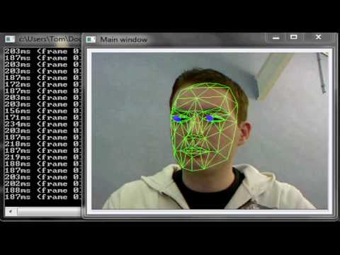 3D Head and Eye tracking using independent CCA based trackers (work in progress)