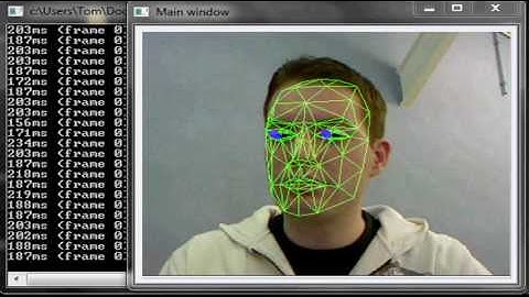3D Head and Eye tracking using independent CCA based trackers (work in progress)
