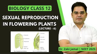 Sexual Reproduction in Flowering Plants I Class 12 Biology I Dr. Zaki Jamal I NEET 2025 I Lecture 9