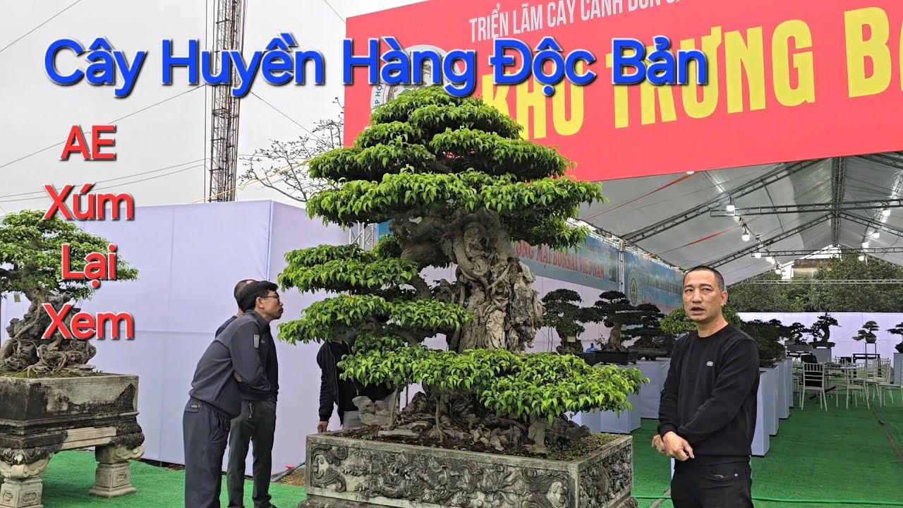 SANH DÁNG HUYỀN ĐẸP NỔI BẬT , AE XÚM LẠI XEM tại triển lãm TRIỆU VIỆT VƯƠNG - Hưng Yên 2026 .