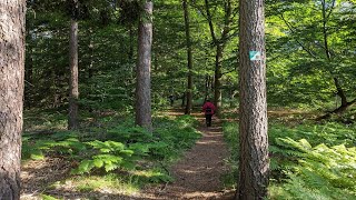 Grenzsteinwanderweg Schwarzenholz