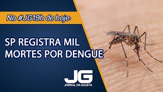 SP registra mil mortes por dengue - Jornal da Gazeta - 06/06/2024