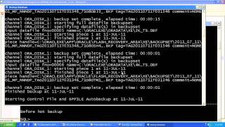 Oracle XE Hot Backup & Recovery
