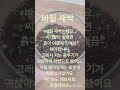 이번엔 발아시킨 바질 친구에요!