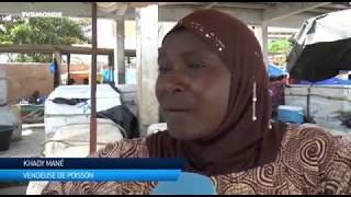 Vente de Poissons Sénégal: reportage exclusif sur #Aywajieune