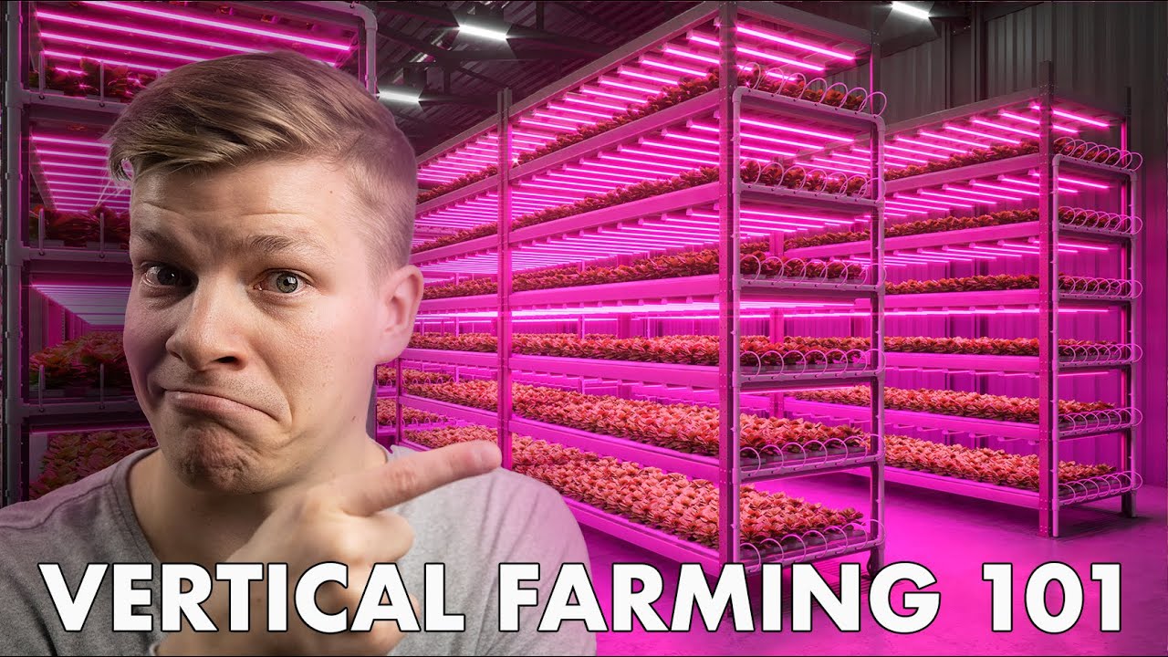 Что такое вертикальное земледелие и как оно работает?