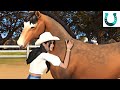 🐎🤠The Sims 4 Horse Ranch: Exploring the New World