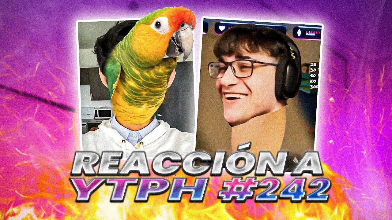 FERNAN SE CONVIERTE EN UN LORO 😨 | Reacción a YTPH #242