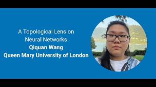 A Topological Lens on Neural Networks