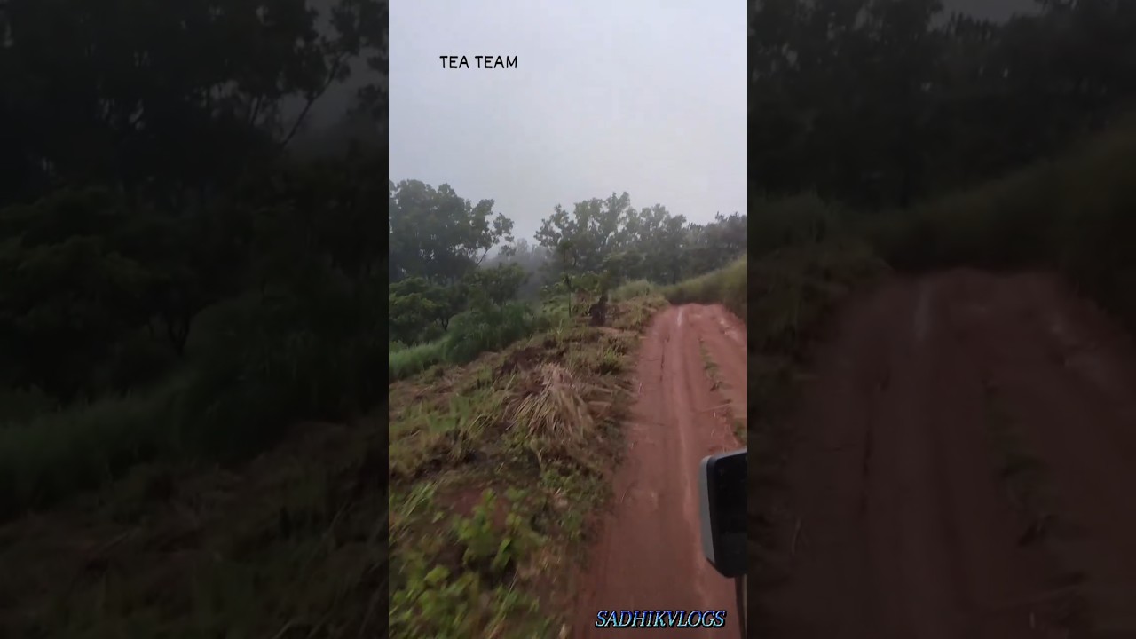 Tea Time  🍵 ☕️ 🫖  