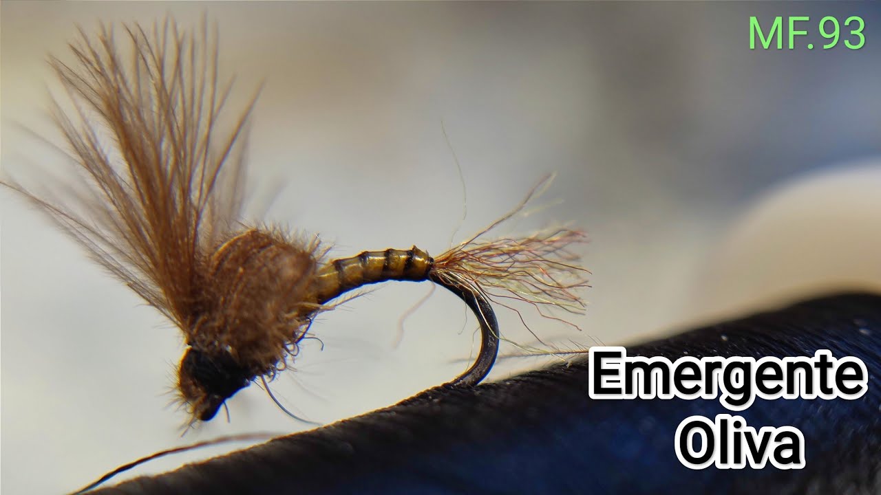 ✅Montaje mosca seca2022.Emergente Oliva Mazuelas Fly Fishing.