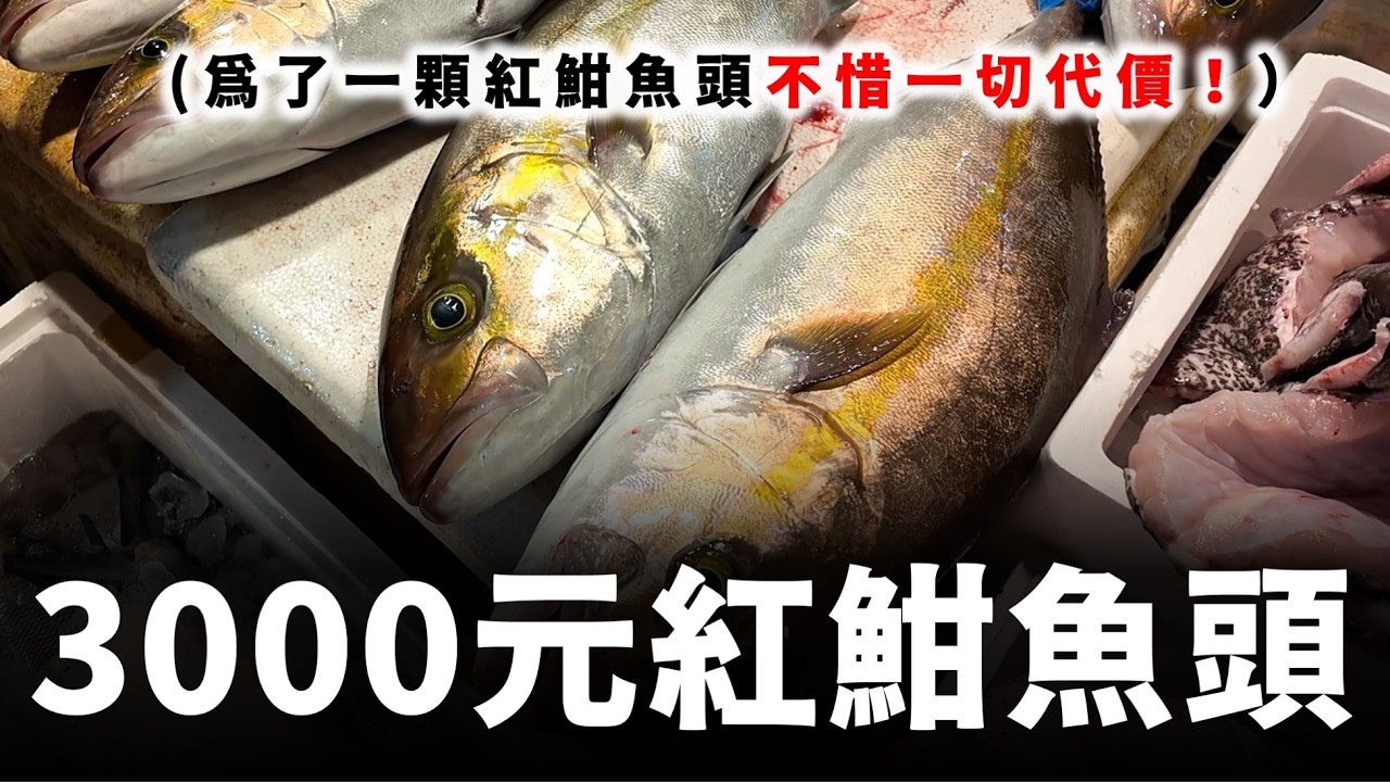 為什麼我要花費3000元,買這個紅魽魚頭? 這是我買過最貴紅魽 縮圖