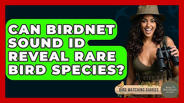 Can BirdNET Sound ID Reveal Rare Bird Species? - Bird Watching Diaries