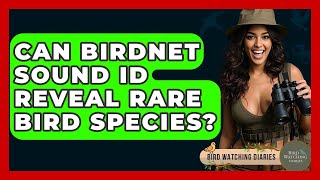 Can BirdNET Sound ID Reveal Rare Bird Species? - Bird Watching Diaries
