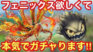 【ドラクエタクト】フェニックス欲しいので本気でガチャる！不死鳥をなんとしても手に入れたい！！